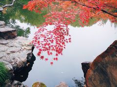 -汇龙潭