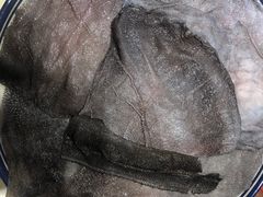 -大队长主题火锅(观音桥店)