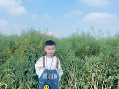 -中国天府农业博览园