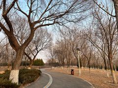 -永定河休闲森林公园