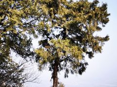 -鹫峰国家森林公园