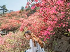 -木兰云雾山
