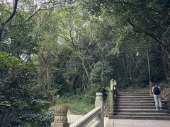 -普陀山风景区-佛顶山