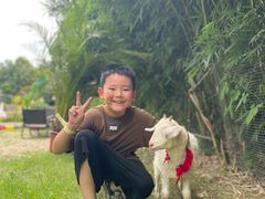 -HERRE·FARM 赫尔露营农场·团建聚会包场