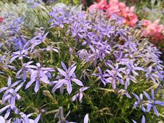 -世纪公园-世纪春沁园