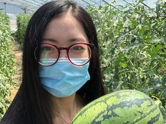 -庞各庄西瓜蔬菜采摘园·锦华瓜园