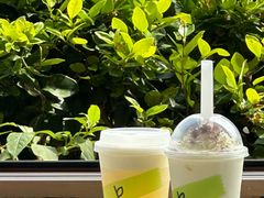 -白茶原·一片叶子