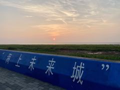 -南汇嘴观海公园