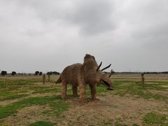 -嘉北郊野公园
