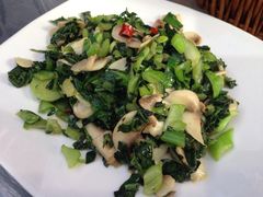 蘑菇炒青菜-古韵餐厅(湖畔大学店)