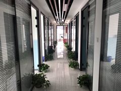 -新航道雅思托福·留学·考研培训(人民广场校区)