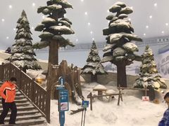 -哈尔滨热雪奇迹