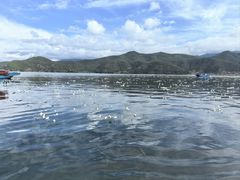 -丽江泸沽湖景区