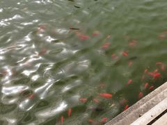 -迎泽公园