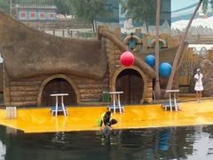 -秦皇岛乐岛海洋王国