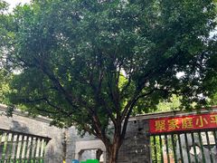 -碧江金楼