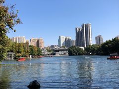 -荔湾湖公园