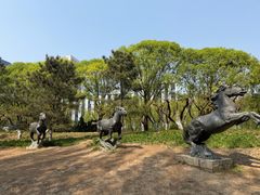 -元大都城垣遗址公园