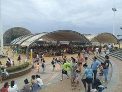 -碧海金沙