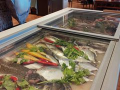 -百年银屏蚝烙·潮汕菜·非遗(乐山店)