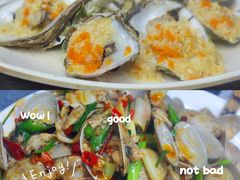 -亚龙湾热带天堂森林公园