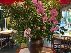 -晟永興烤鸭店(五道口店)
