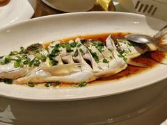 -金美华轩(东方路齐鲁店)