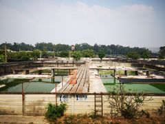 -是拉差龙虎园(Permanently closed)