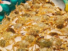 -苏格里岛自助海鲜烤肉(青秀万达店)