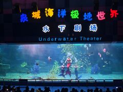 -泉城欧乐堡海洋极地世界