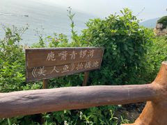 -杨梅坑