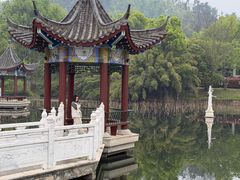 -青龙山国家森林公园