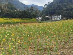 -新安江山水画廊风景区