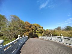 -上海海湾国家森林公园