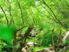 -北京密云天门山风景区
