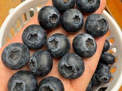 -水果地带(银泰城店)