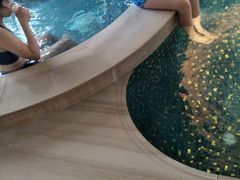 -舟山希尔顿酒店