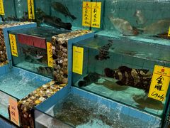 -有腥气私房菜·寻味顺德