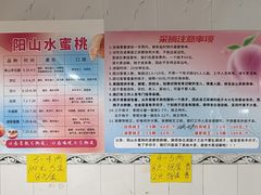 -老袁家蜜桃农场·阳山水蜜桃