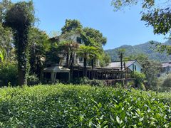 -野蔓果·山野菜(西湖景区·龙井茶田店)