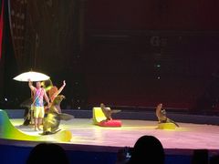 -珠海横琴长隆《卡卡虎奇遇记》