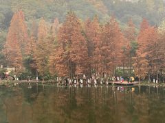 -重庆彩云湖湿地公园