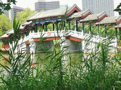 -西海子公园
