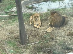 -西安秦岭野生动物园