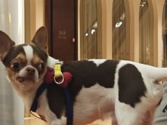 -加伍磅健身(千树店)
