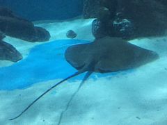-苏州海洋馆