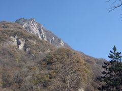 -陕西省红河谷森林公园