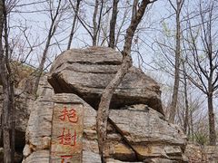 -大伊山景区