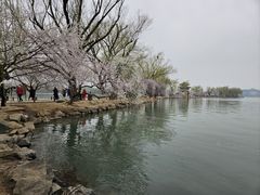 -颐和园