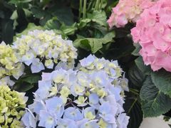 -比斯特上海购物村精品奥特莱斯